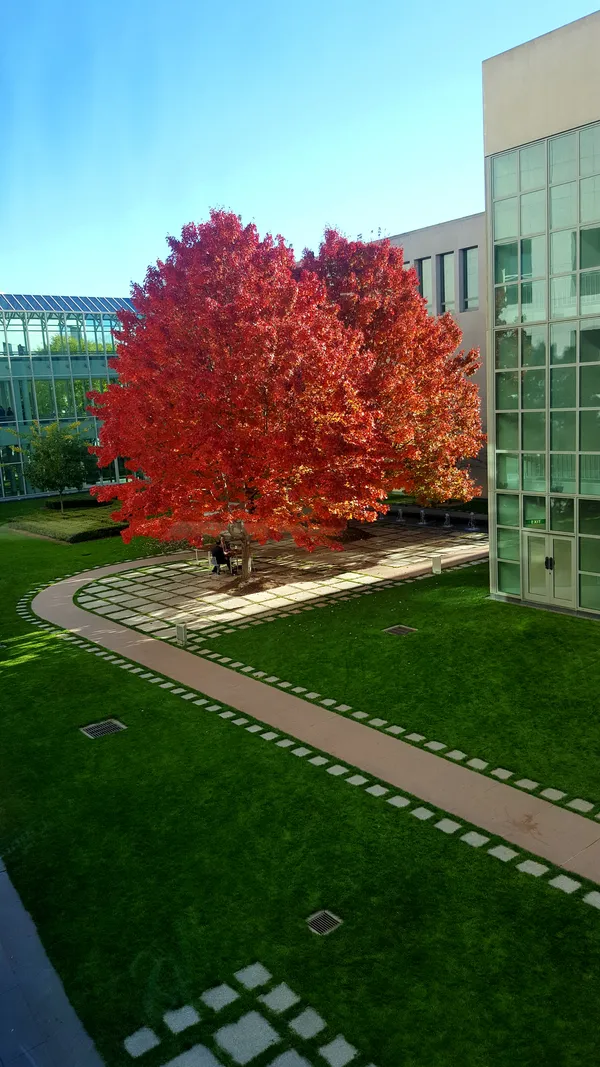 Golden Autumn Skies: A Perfect Tuesday for the Capital