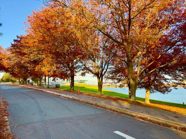 Cloudy Skies and Crisp Autumn Air: Your Sunday Forecast for the Capital